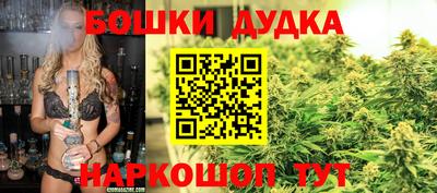 гидра Лесосибирск