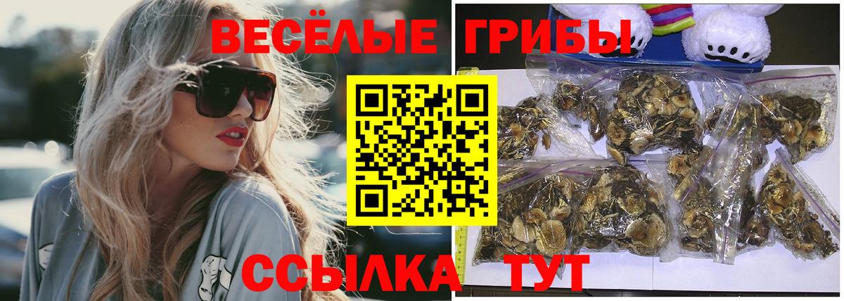 Морозовск  Псилоцибиновые грибы мицелий  Вход с VPN  Псилоцибиновые грибы Psilocybe 