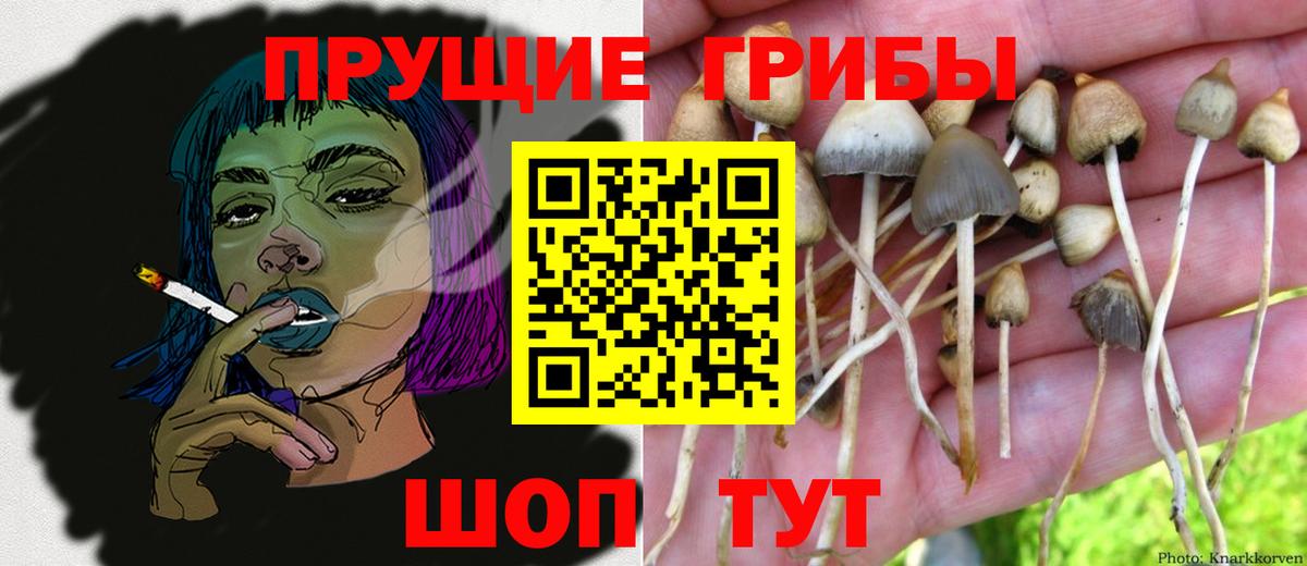 Псилоцибиновые грибы MAGIC MUSHROOMS Морозовск
